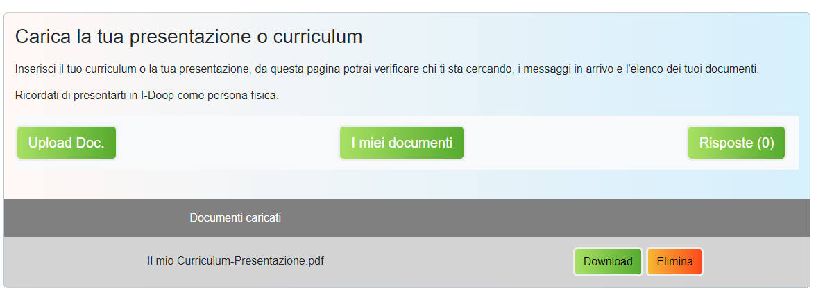 immagine esempio curriculum